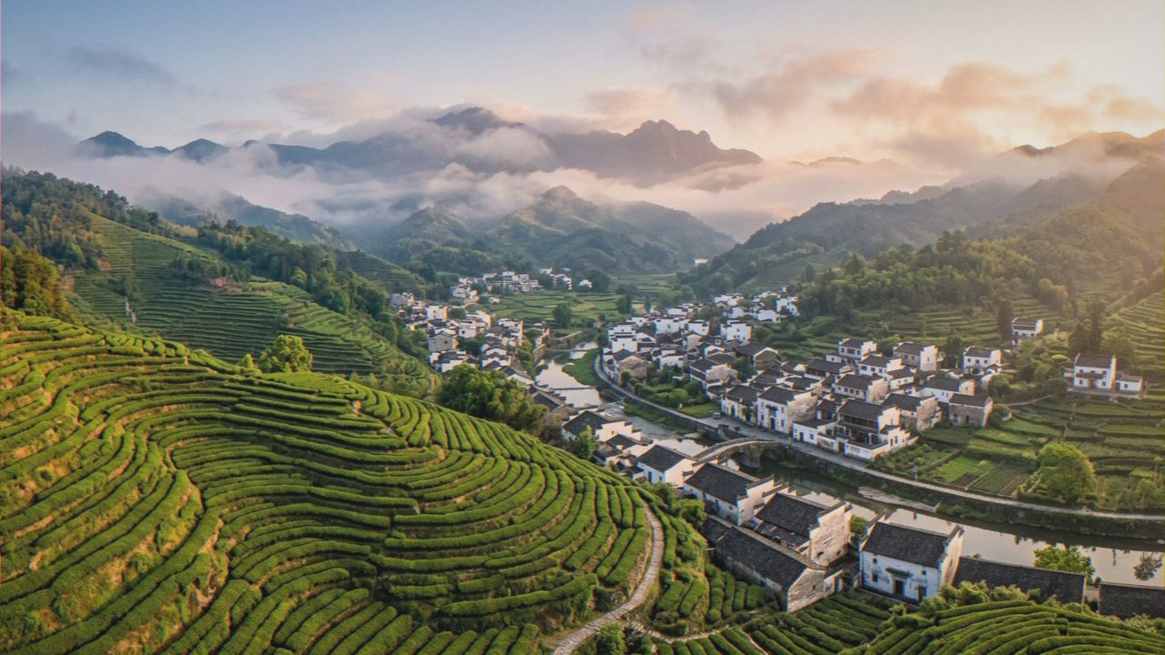 白溪村全景